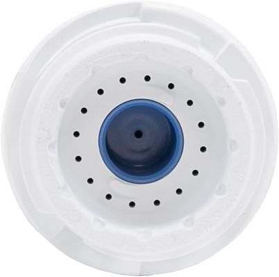6 Months Filter Life Hotel Refrigerator Water Filter Replacement Compatible with GSWF