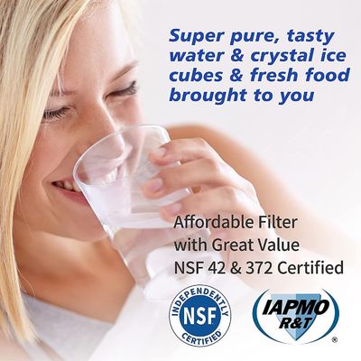 LT1000P Natural Coconut Activated Carbon Refrigerator Water Filters Manual Power Source