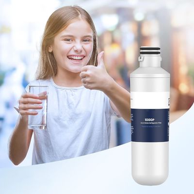 Odor-Reducing LT1000PC Replacement Refrigerator Water Filter Compatible with ADQ747935 ADQ74793504 LT120F ADQ73334008 Fresh Air Filter