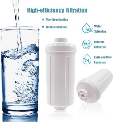 Replacement PF-2 Fluoride Refrigerator Water Filter for Ber key and Gravity Filtration