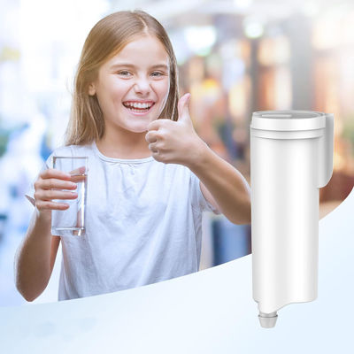 G/E Profile Opal Ice Maker Water Filter NSF Certified Replace Every 3 Months for Maximum
