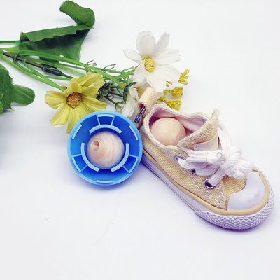 Shoe Deodorizer Balls for Home Office Car Eliminate Odor and Freshen Your Footwear