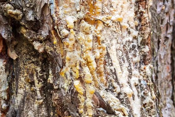 Add Your Own Beeswax to All Natural Pine Rosin Tree Resin for Baseball Grip Tack