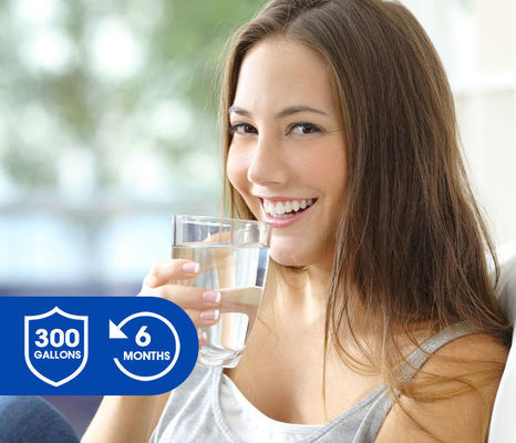 Activated Carbon LT700P Refrigerator Water Filter Cartridge Replacement Quick Fitting