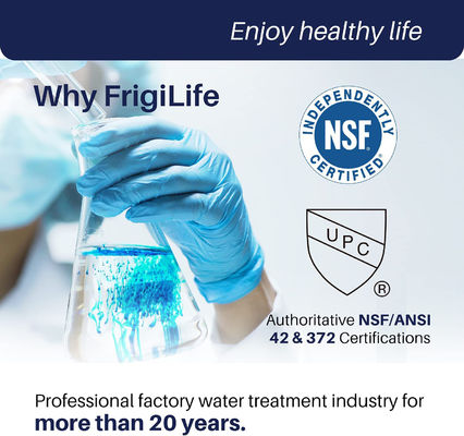 XWF Water Filter Replacement for G E XWFE Refrigerator WR17X30702 Household Essential